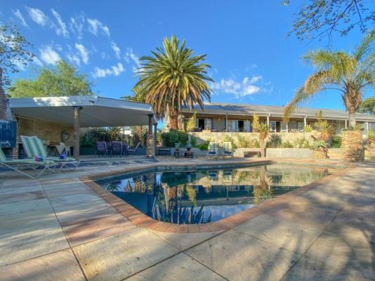 Aloe Manor - 195184