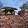 Etendeka Mountain Camp - 195210