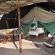 Etendeka Mountain Camp - 195228