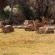 Auas Safari Lodge - 195311