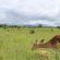 Auas Safari Lodge - 195313