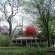 Reilly's Rock Hilltop Lodge - 195334