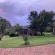 Stonebreaker Country Lodge - 195363