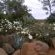 Olive Hill Country Lodge - 195652