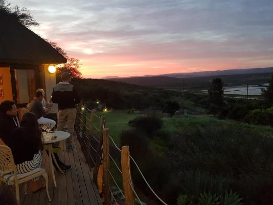 Addo Dung Beetle Guest Farm - 195669