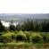 Addo Dung Beetle Guest Farm - 195682