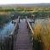 Addo Dung Beetle Guest Farm - 195683