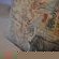 Addo Dung Beetle Guest Farm - 195696