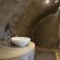 Addo Dung Beetle Guest Farm - 195701