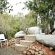 Addo Dung Beetle Guest Farm - 195702