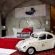 Addo Dung Beetle Guest Farm - 195706