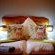 Addo Dung Beetle Guest Farm - 195724