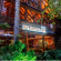 The Knysna Log-Inn Hotel - The Graywood - 195733