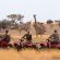 Camelthorn Kalahari Lodge - 195887