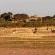 Suricate Kalahari Tented Lodge - 195911