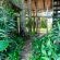 The Tropical Hut - 195944