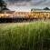 Hluhluwe River Lodge - 196005