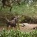 Hluhluwe River Lodge - 196009