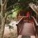 Hluhluwe River Lodge - 196020