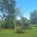Big Boma Guest House - 196238