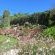 Aan-den-Weg B&B - 196333