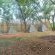 Kruger Adventure Lodge - 196391