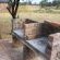 Grootgeluk Bush Camp - 196722