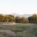 Bushriver Lodge - 197015
