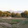 Bushriver Lodge - 197015