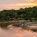 Bushriver Lodge - 197019