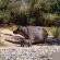 Bushriver Lodge - 197023