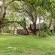 Bushriver Lodge - 197027