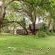 Bushriver Lodge - 197027