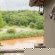 Bushriver Lodge - 197077