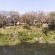 Divava Okavango Lodge & Spa - 197121