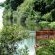 Divava Okavango Lodge & Spa - 197122