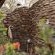 Kwandwe Private Game Reserve - 197288