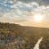 Kwandwe Private Game Reserve - 197295