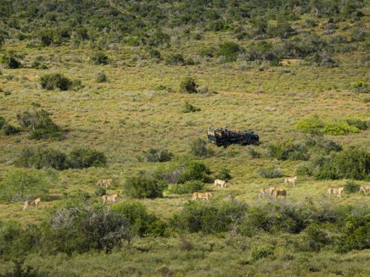 Kwandwe Private Game Reserve - 197314