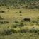 Kwandwe Private Game Reserve - 197314