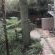 Leaves Signature Guest House - 197331
