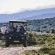 Buffelsdrift Game Lodge - 197362