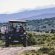 Buffelsdrift Game Lodge - 197362