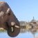 Buffelsdrift Game Lodge - 197364