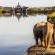 Buffelsdrift Game Lodge - 197365