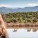 Buffelsdrift Game Lodge - 197383