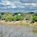 Buffelsdrift Game Lodge - 197384
