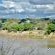 Buffelsdrift Game Lodge - 197384