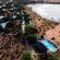Buffelsdrift Game Lodge - 197387