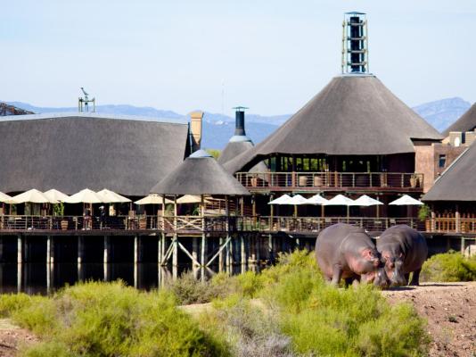 Buffelsdrift Game Lodge - 197389
